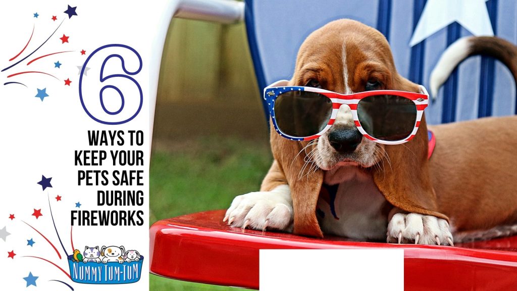 6 Ways to Keep Pets Calm During Fireworks