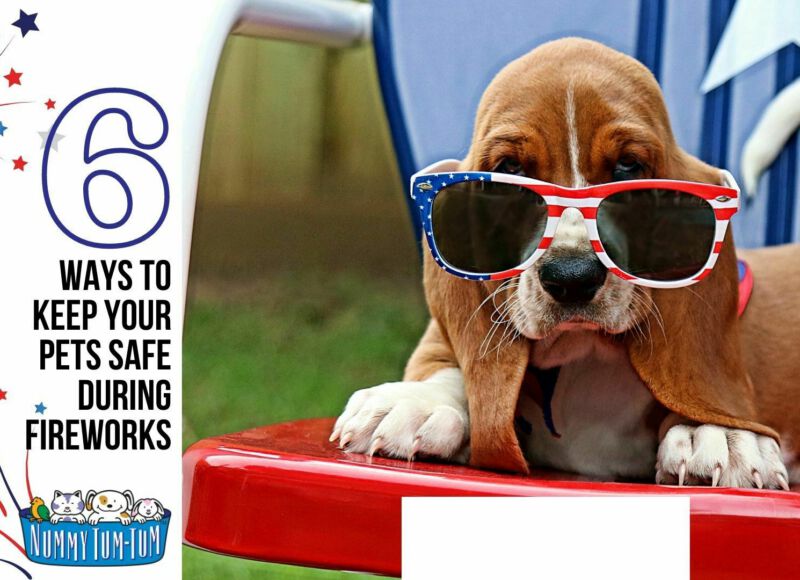 6 Ways to Keep Pets Calm During Fireworks
