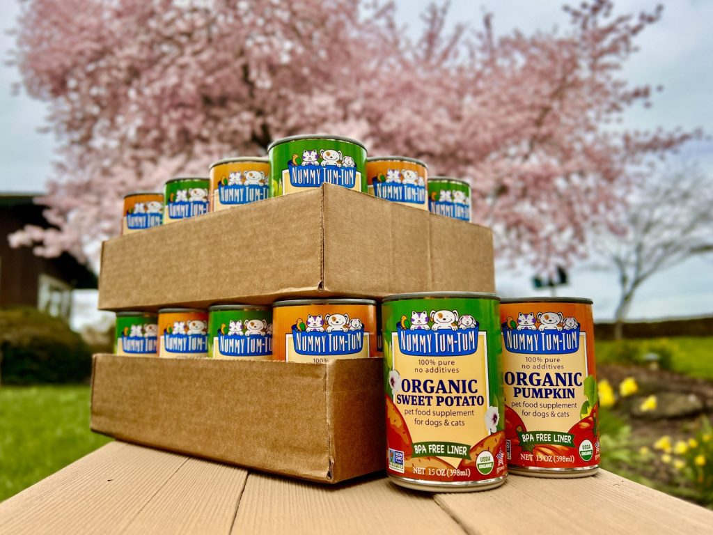 Tips for keeping your pet cool this summer