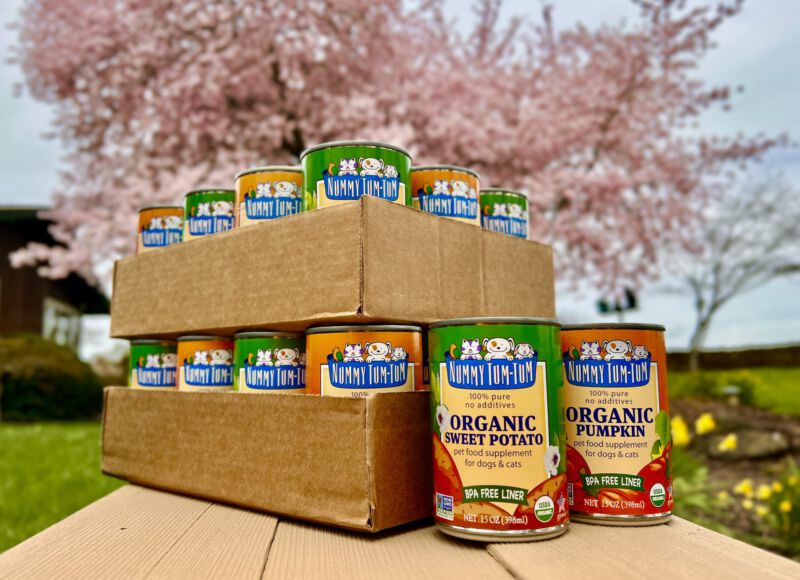 Tips for keeping your pet cool this summer