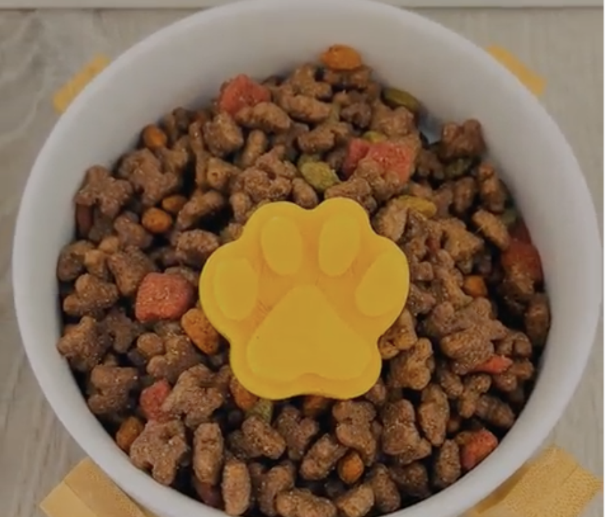 keeping your pet cool