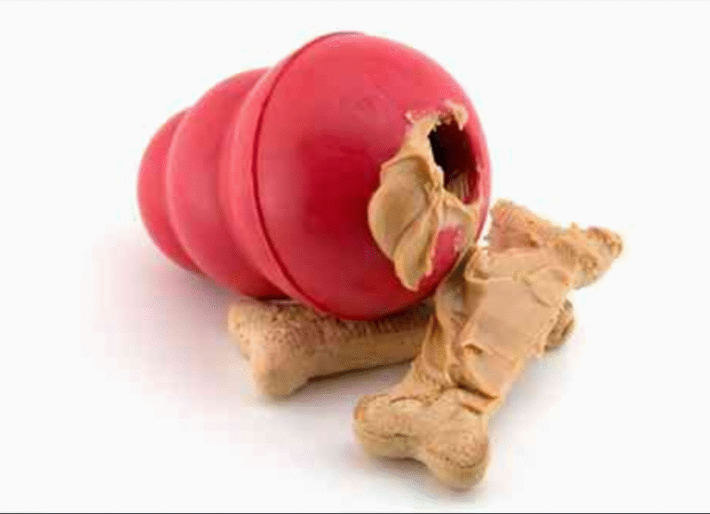 kong + pumpkin recipes