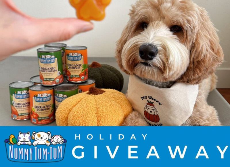 Nummy Tum-Tum 2023 Holiday Giveaway