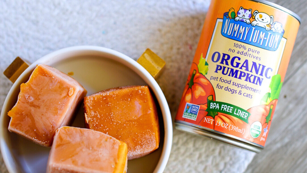 frozen pumpkin ice cubes for pets made with Nummy Tum Tum 100% pure organic pumpkin
