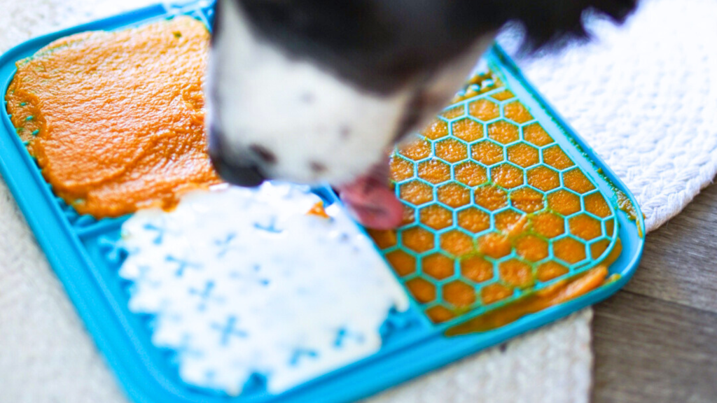 dog lickmat recipe with pumpkin