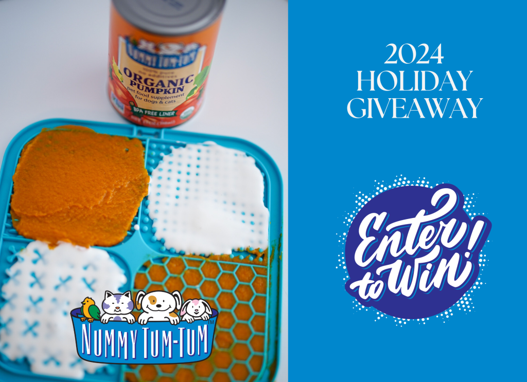 Nummy Tum Tum holiday giveaways 2024